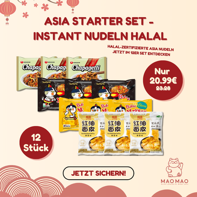 Asia Starter Set - Instant Nudeln Halal