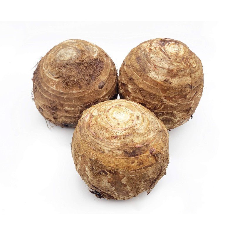 Frischer Taro Größe: S (300-400g)