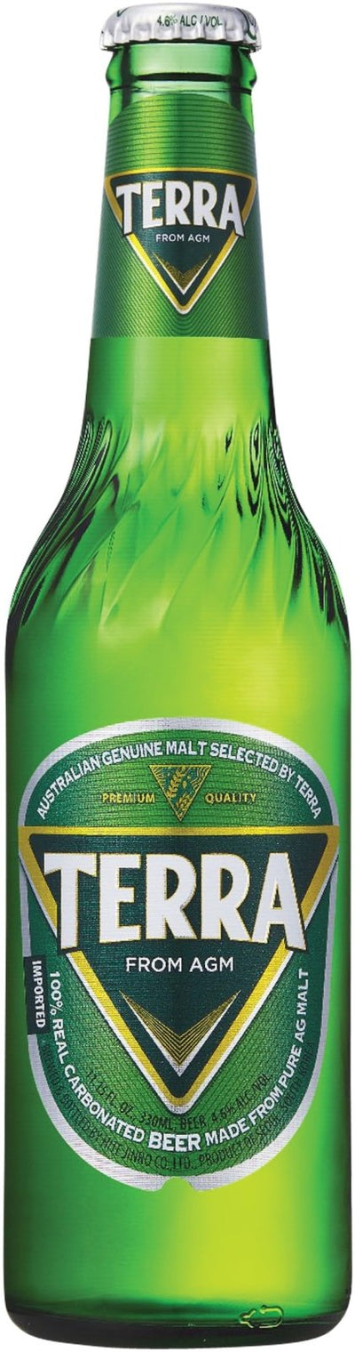 JINRO TERRA Bier (4,6% Alc.) 330ml (EINWEG)