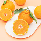 YEONHO Jeju Hallabong (Jeju Orange) Ade 350ml (EINWEG) Bild 2